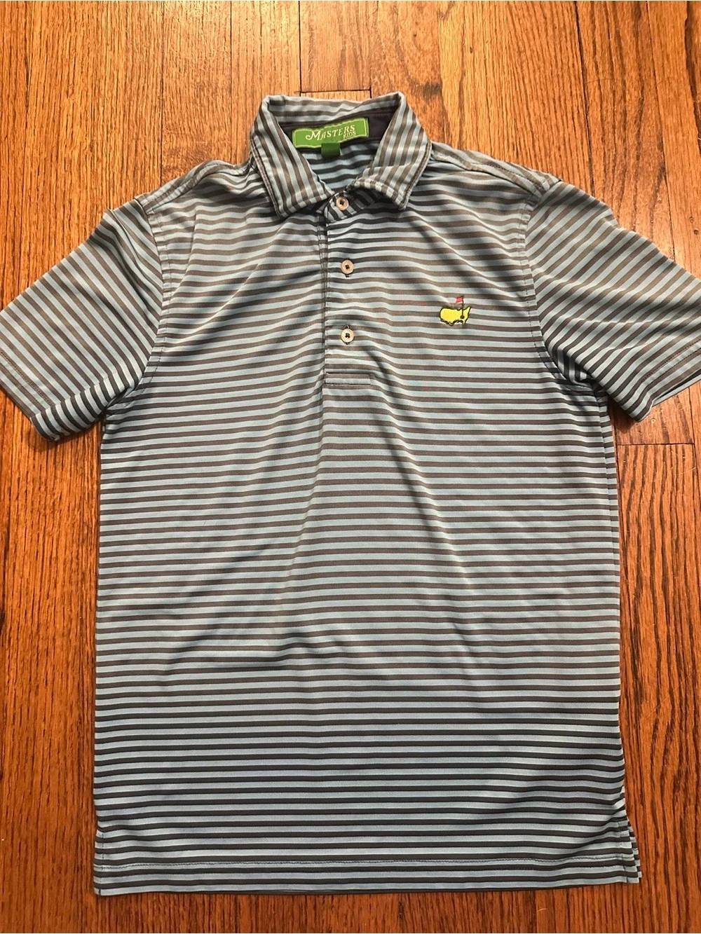 Masters Light Blue and Gray Striped Polo - Kids